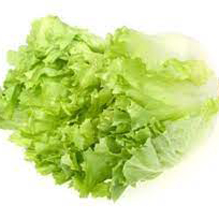 Insalata Scarola